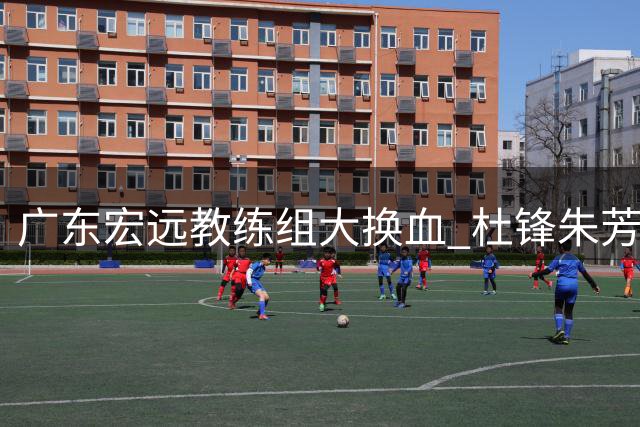 广东宏远教练组大换血 杜锋朱芳雨转任新职